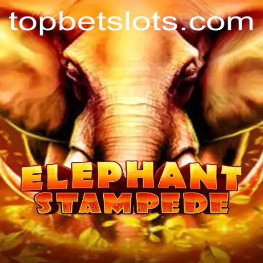 TopBet Casino Withdrawal